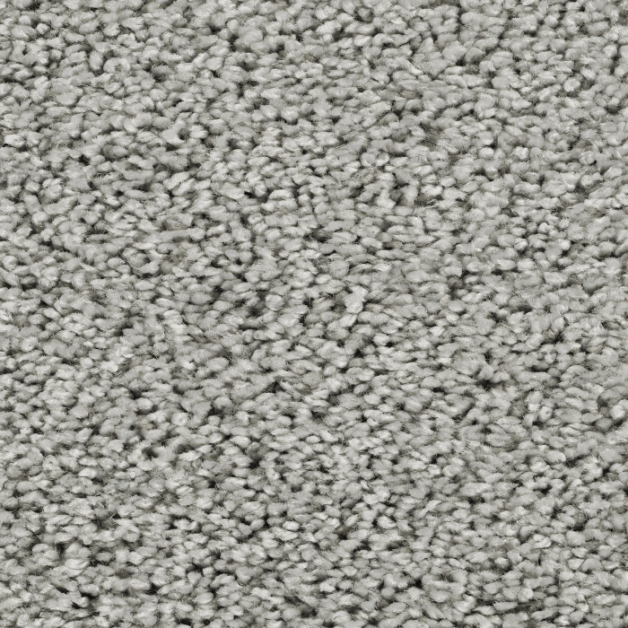 Frisé - Manduro - 004